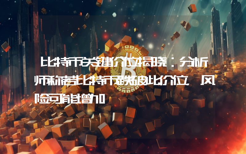 比特币关键价位揭晓：分析师称若比特币跌破此价位，风险可能增加