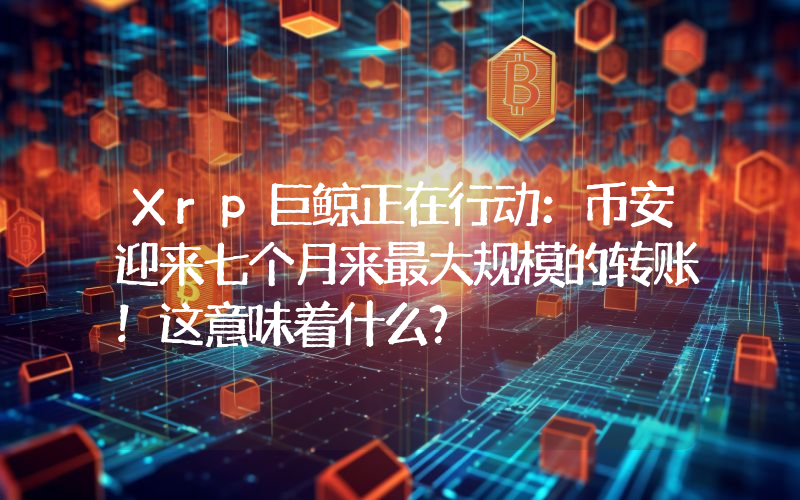 Xrp巨鲸正在行动：币安迎来七个月来最大规模的转账！这意味着什么？