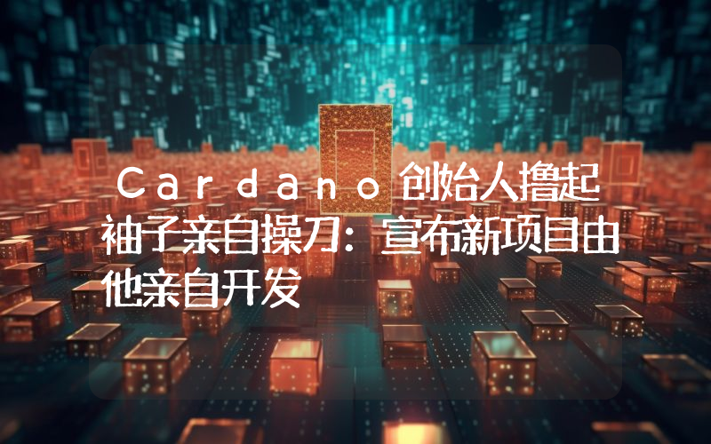 Cardano创始人撸起袖子亲自操刀：宣布新项目由他亲自开发