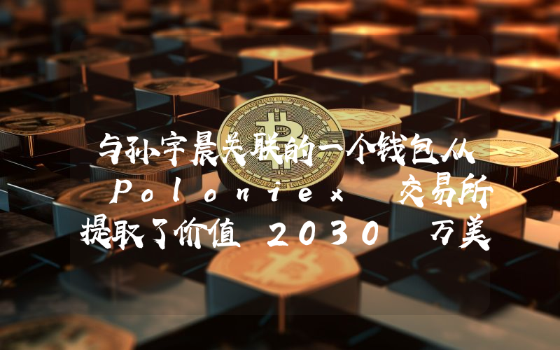 与孙宇晨关联的一个钱包从 Poloniex 交易所提取了价值 2030 万美元的 Memecoin！详情如下。