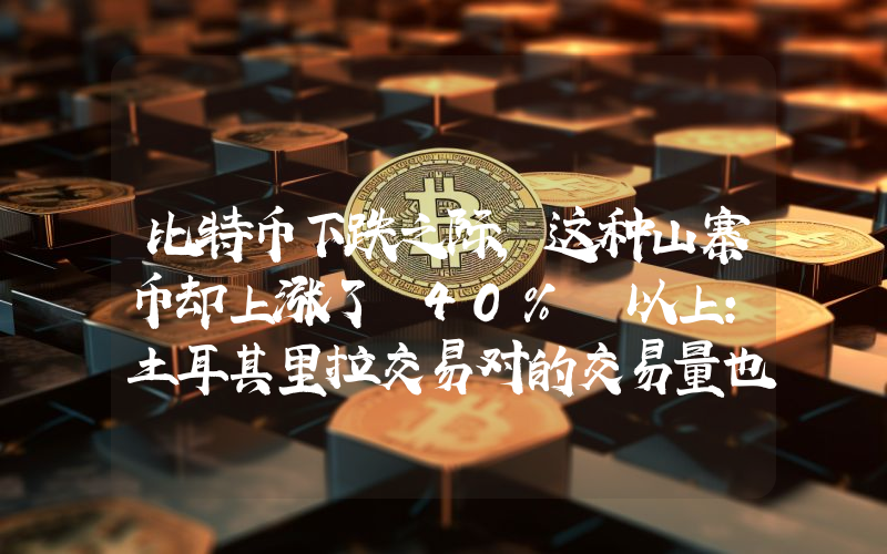 比特币下跌之际，这种山寨币却上涨了 40% 以上：土耳其里拉交易对的交易量也大幅飙升！