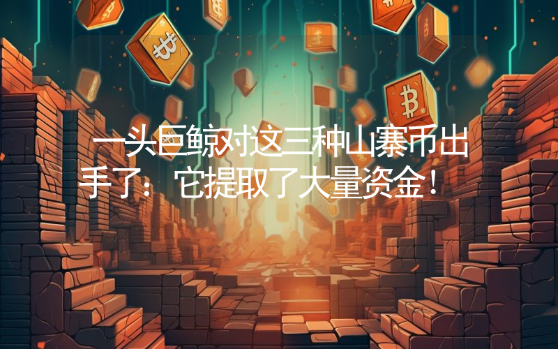 一头巨鲸对这三种山寨币出手了：它提取了大量资金！
