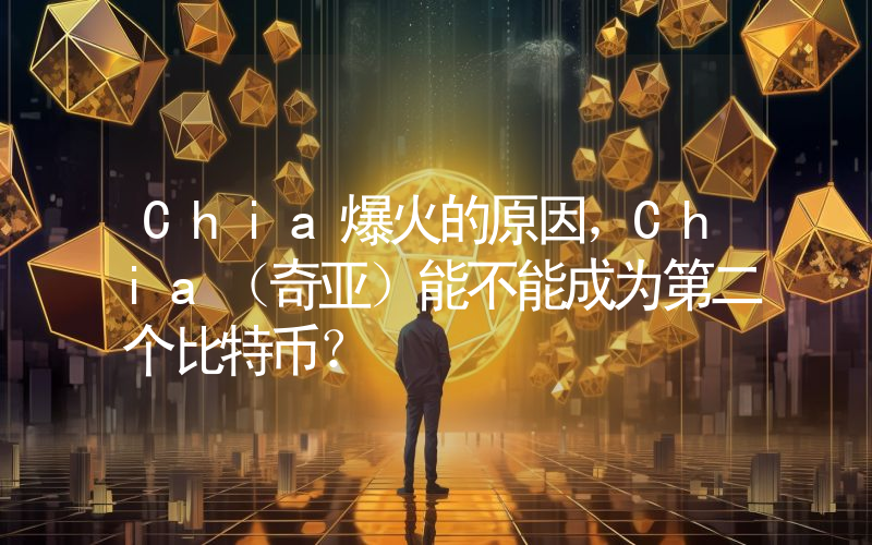 Chia爆火的原因，Chia（奇亚）能不能成为第二个比特币？