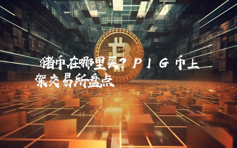 猪币在哪里买？PIG币上架交易所盘点