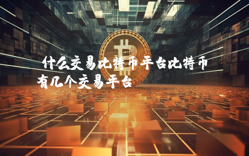 什么交易比特币平台比特币有几个交易平台