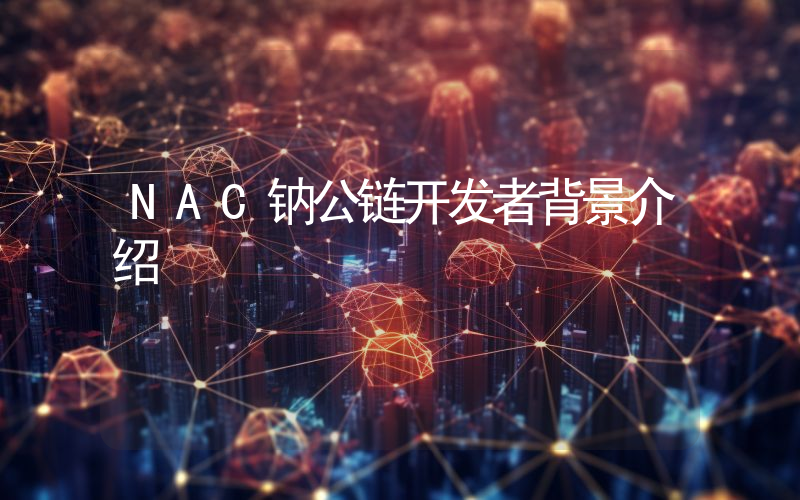 NAC钠公链开发者背景介绍