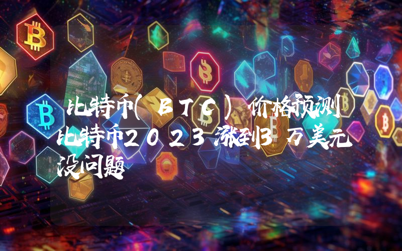 比特币(BTC)价格预测比特币2023涨到3万美元没问题