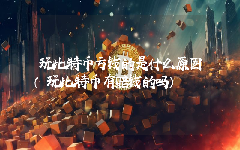 玩比特币亏钱的是什么原因（玩比特币有赔钱的吗）