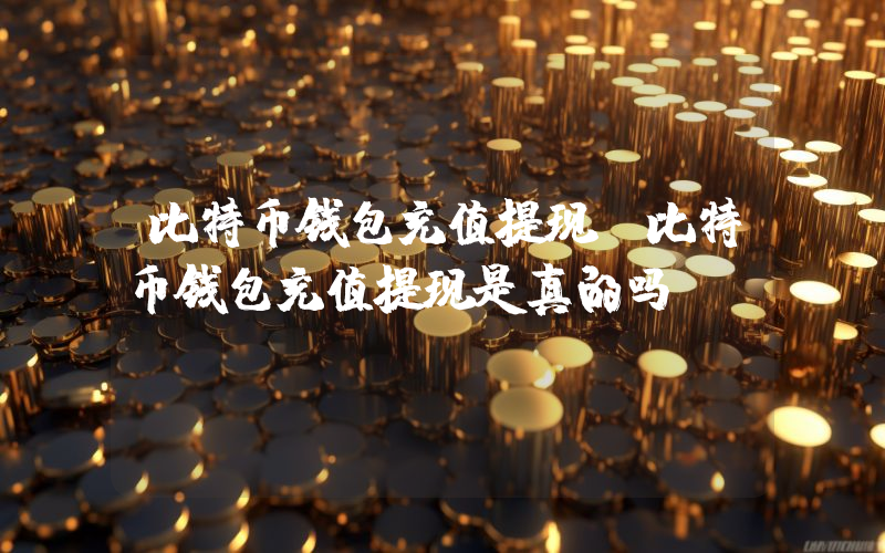比特币钱包充值提现（比特币钱包充值提现是真的吗）