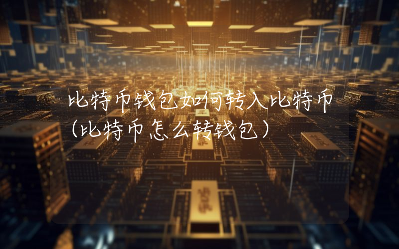 比特币钱包如何转入比特币（比特币怎么转钱包）
