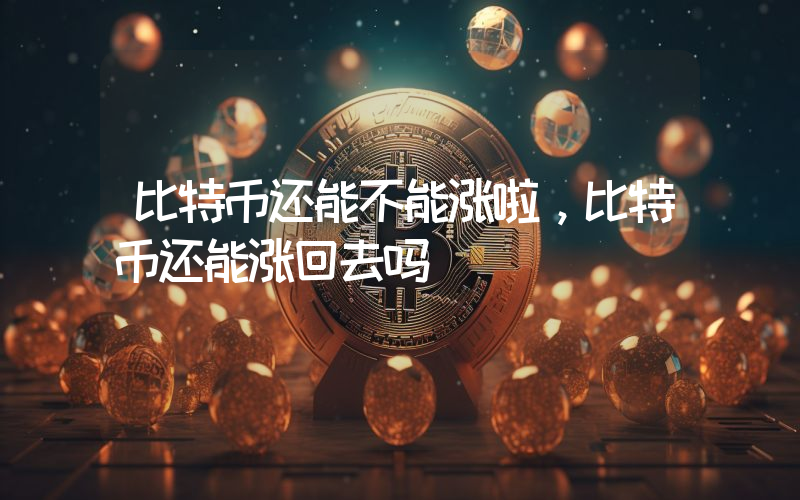 比特币还能不能涨啦，比特币还能涨回去吗