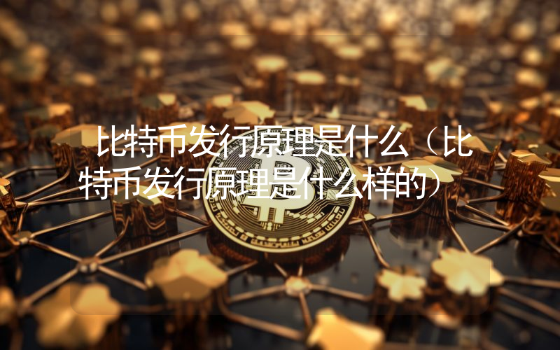 比特币发行原理是什么（比特币发行原理是什么样的）