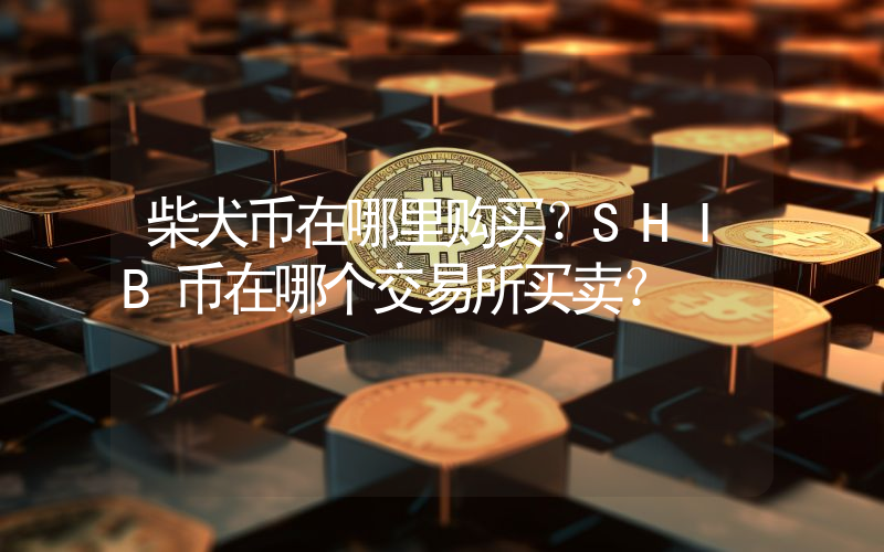 柴犬币在哪里购买？SHIB币在哪个交易所买卖？