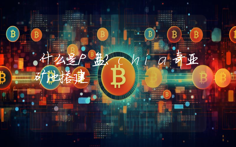 什么是P盘？chia奇亚矿池搭建