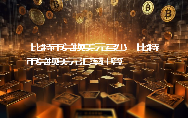 比特币兑换美元多少 比特币兑换美元汇率计算
