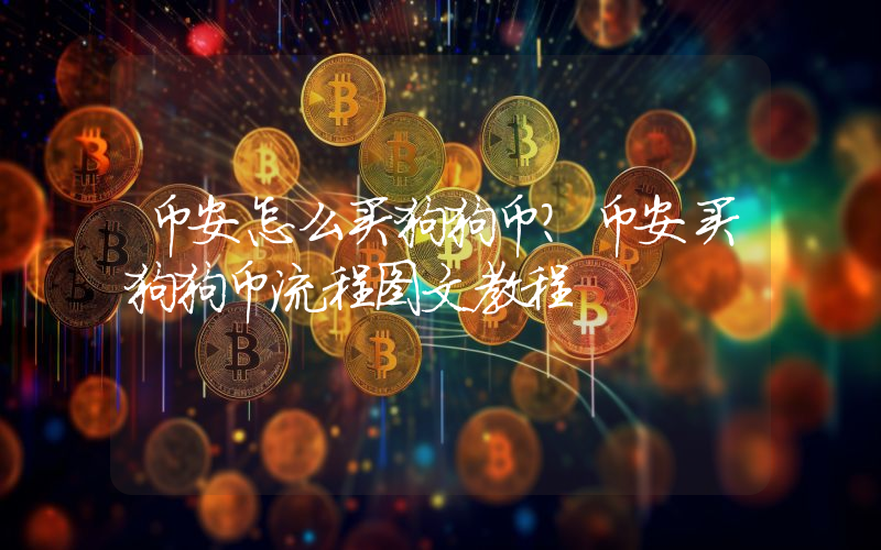 币安怎么买狗狗币？币安买狗狗币流程图文教程