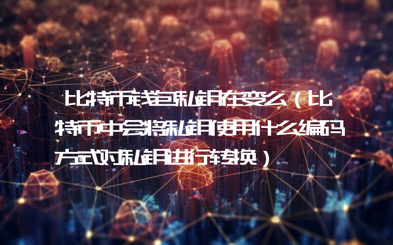 比特币钱包私钥在变么（比特币中会将私钥使用什么编码方式对私钥进行转换）