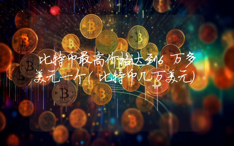 比特币最高价格达到6万多美元一个（比特币几万美元）
