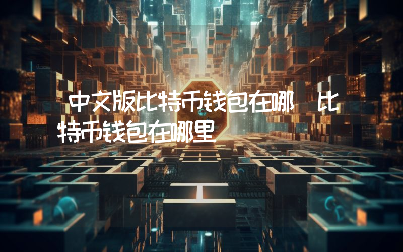 中文版比特币钱包在哪（比特币钱包在哪里）