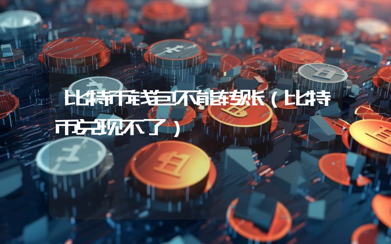 比特币钱包不能转账（比特币兑现不了）