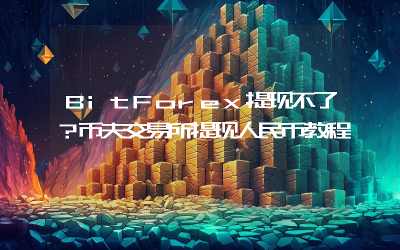 BitForex提现不了？币夫交易所提现人民币教程