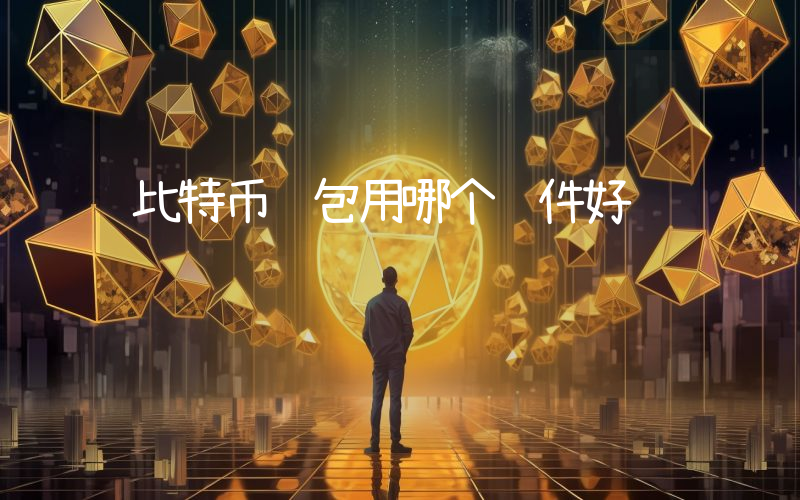 比特币钱包用哪个软件好