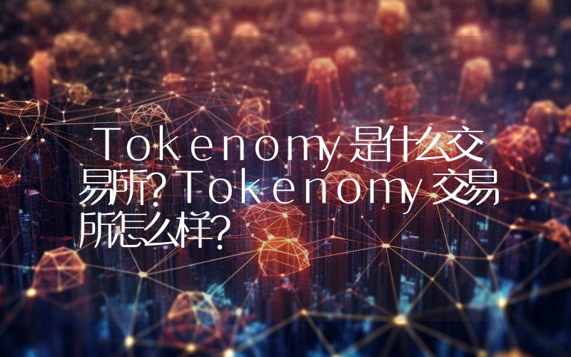 Tokenomy是什么交易所？Tokenomy交易所怎么样？