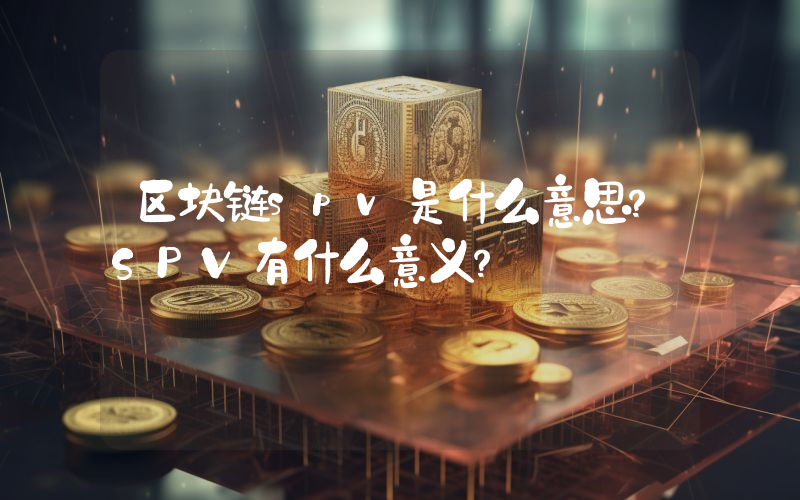 区块链spv是什么意思？SPV有什么意义？