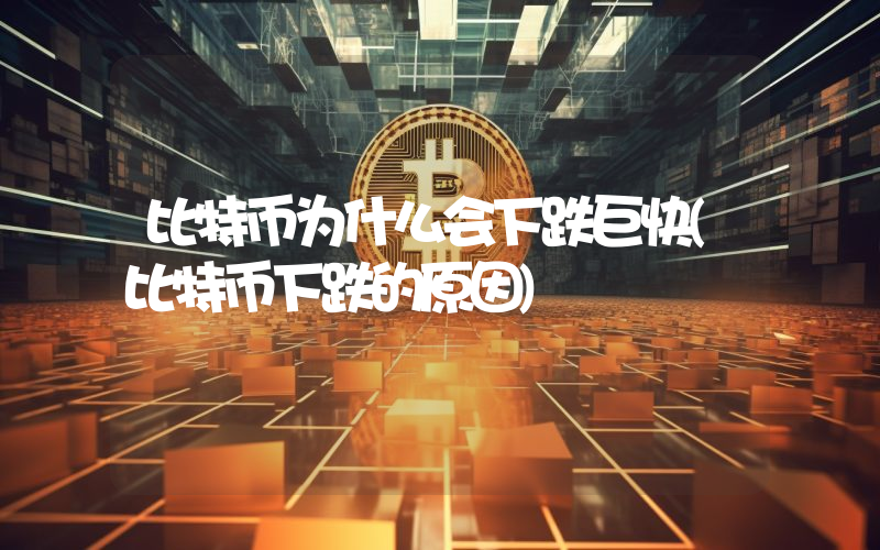 比特币为什么会下跌巨快(比特币下跌的原因)