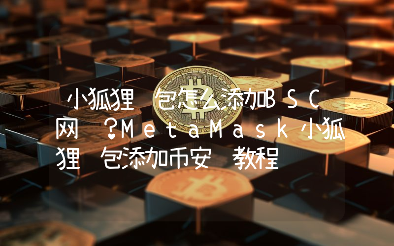 小狐狸钱包怎么添加BSC网络？MetaMask小狐狸钱包添加币安链教程