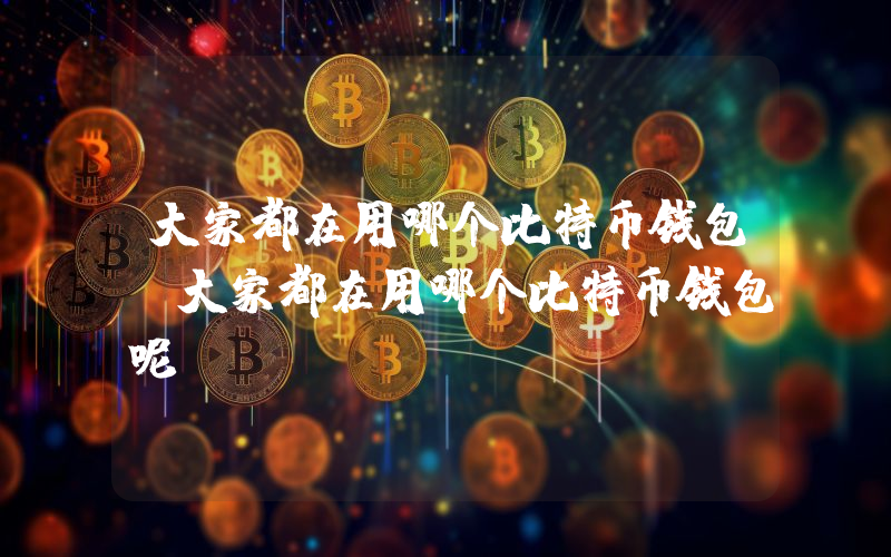 大家都在用哪个比特币钱包（大家都在用哪个比特币钱包呢）