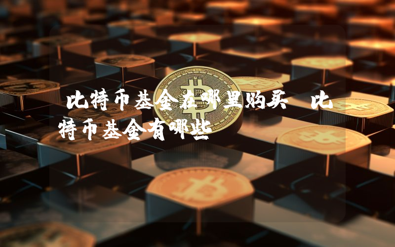比特币基金在哪里购买 比特币基金有哪些