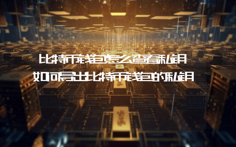 比特币钱包怎么查看私钥 如何导出比特币钱包的私钥