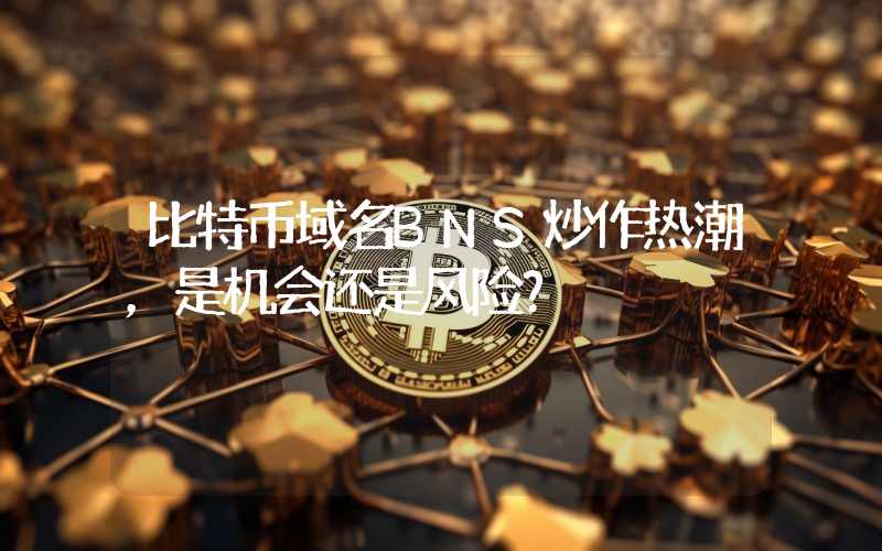 比特币域名BNS炒作热潮，是机会还是风险？