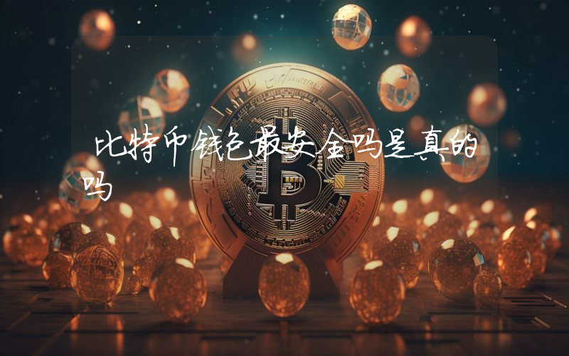比特币钱包最安全吗是真的吗