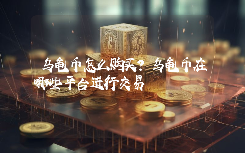 乌龟币怎么购买？乌龟币在哪些平台进行交易