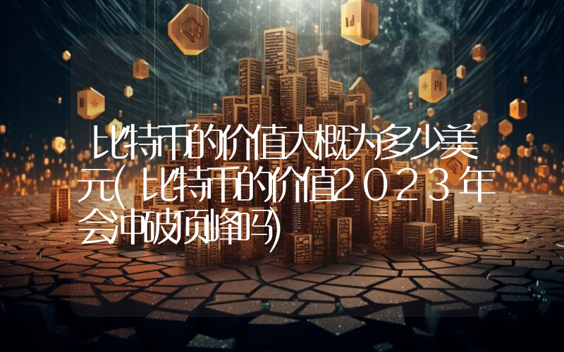 比特币的价值大概为多少美元(比特币的价值2023年会冲破顶峰吗)