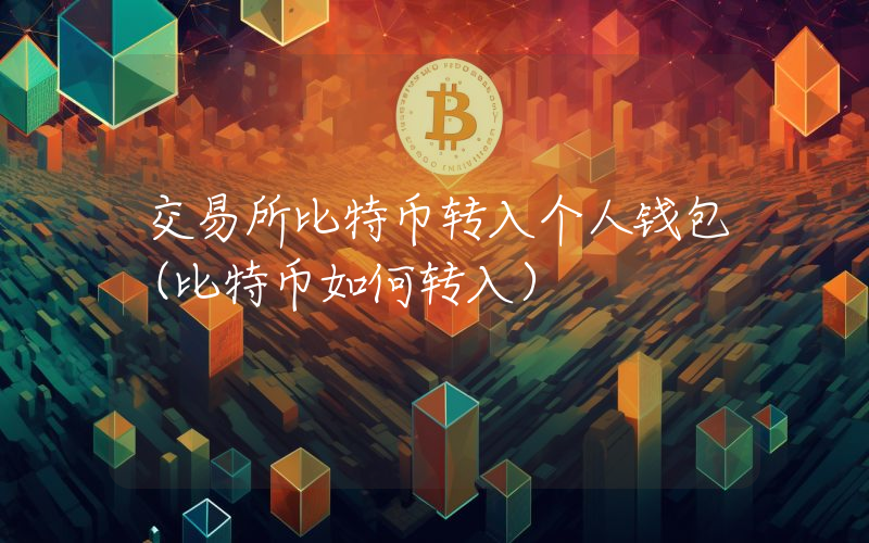 交易所比特币转入个人钱包（比特币如何转入）