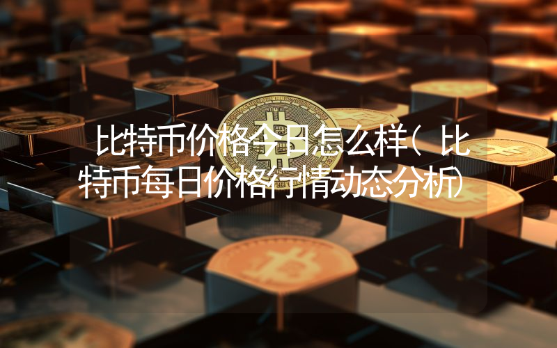 比特币价格今日怎么样(比特币每日价格行情动态分析)