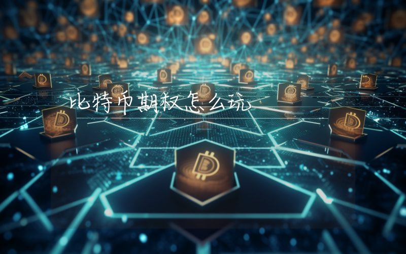 比特币期权怎么玩