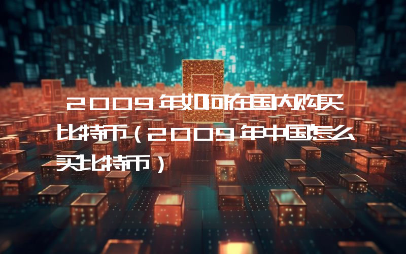 2009年如何在国内购买比特币（2009年中国怎么买比特币）