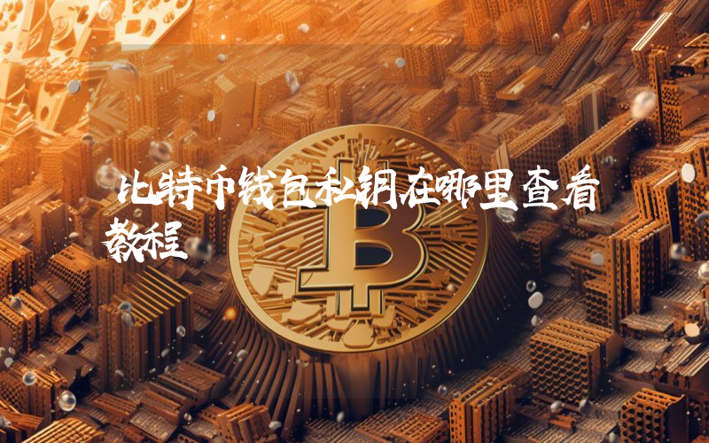 比特币钱包私钥在哪里查看教程