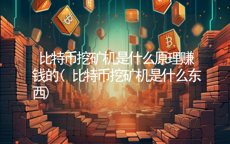 比特币挖矿机是什么原理赚钱的(比特币挖矿机是什么东西)