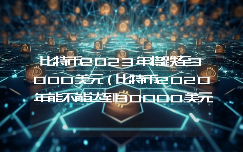 比特币2023年将跌至3000美元（比特币2020年能不能达到30000美元）
