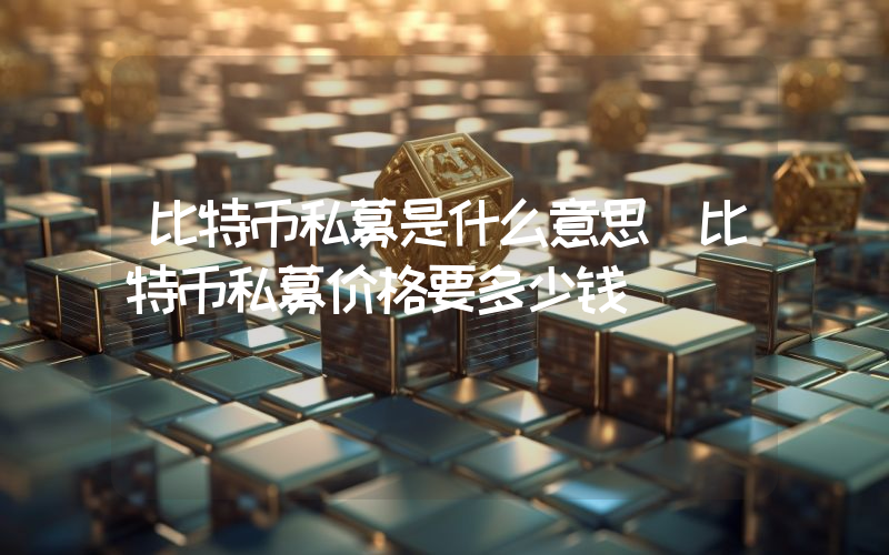 比特币私募是什么意思(比特币私募价格要多少钱)