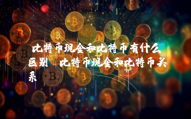 比特币现金和比特币有什么区别 比特币现金和比特币关系