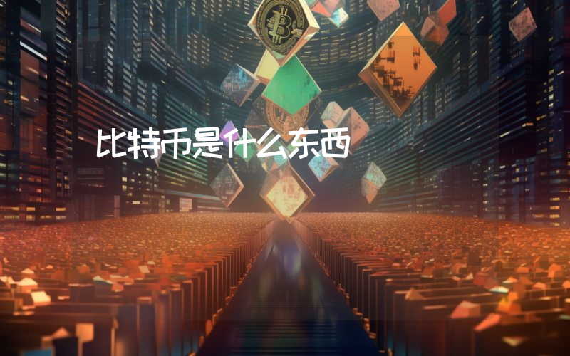比特币是什么东西