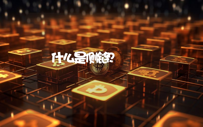 什么是侧链？