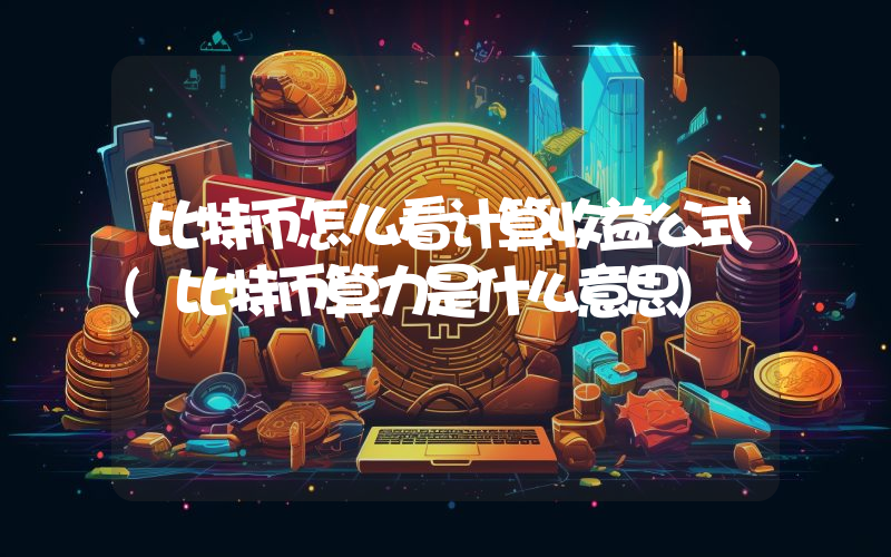 比特币怎么看计算收益公式(比特币算力是什么意思)