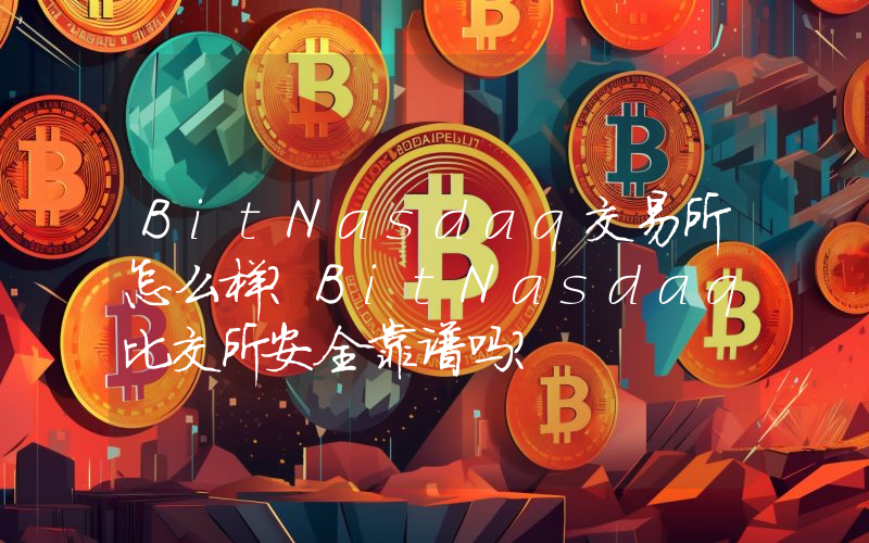 BitNasdaq交易所怎么样？BitNasdaq比交所安全靠谱吗？